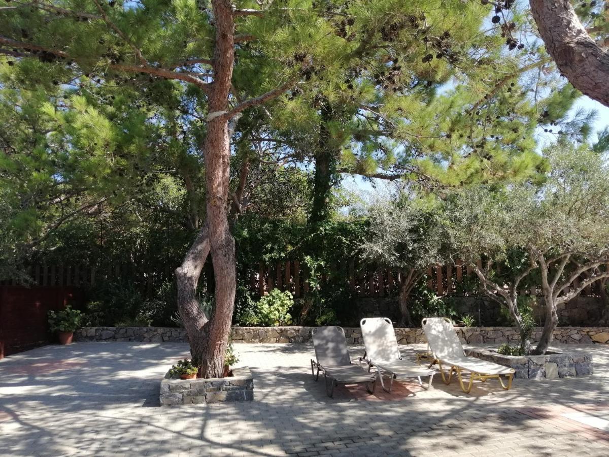Ferma Solaris Apartments Agia Fotia  ภายนอก รูปภาพ
